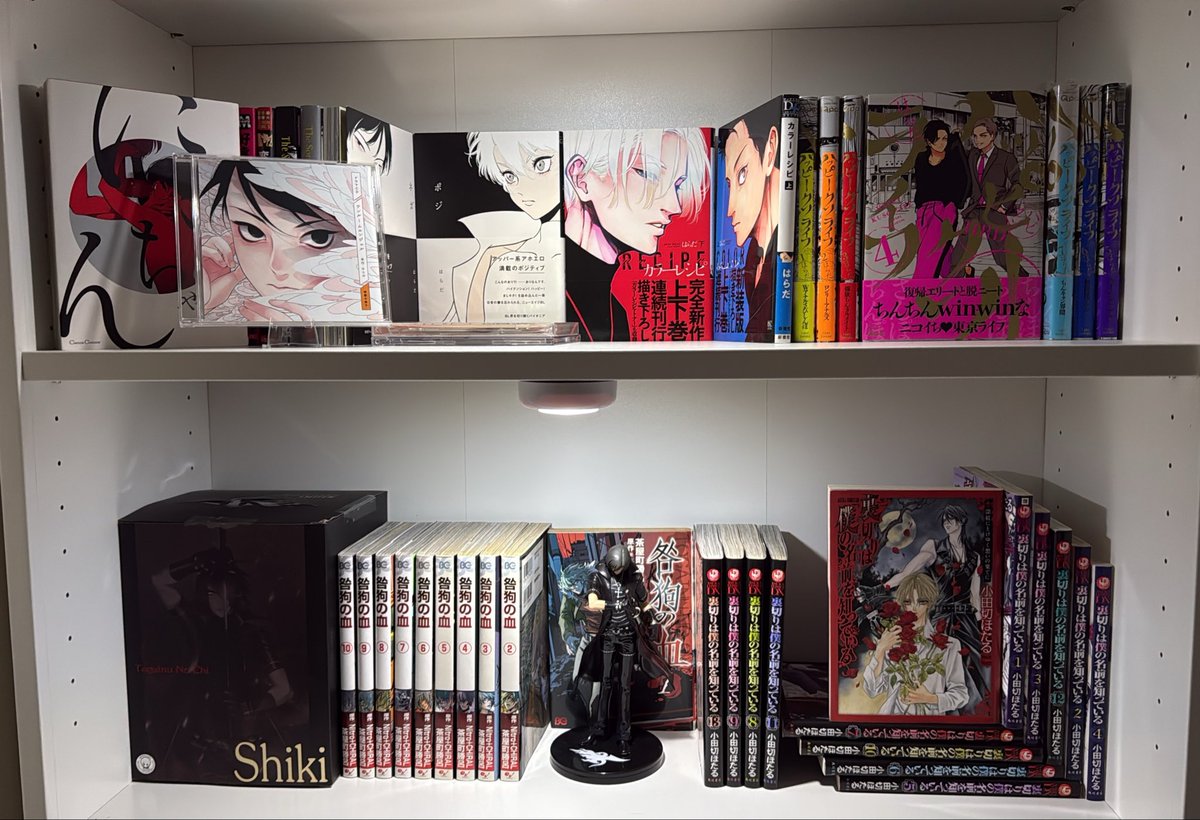 pawinof's tweet photo. this is what i’m working w so far idk where to put my other one room angel cds 😢 https://t.co/7nQLfHcnVE