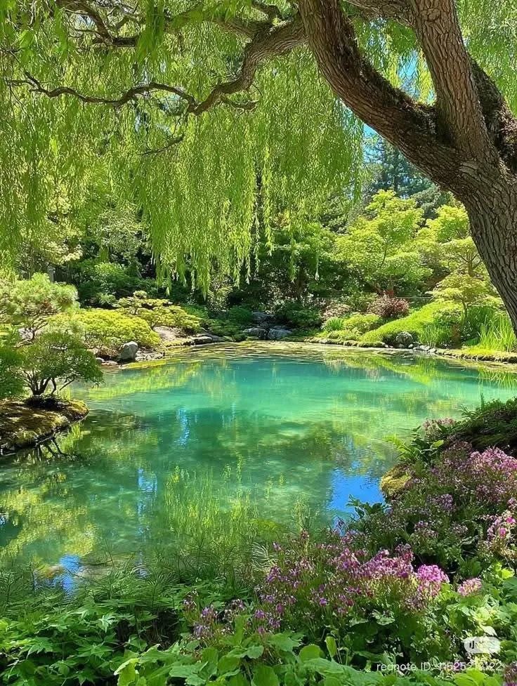 Srishti_8696's tweet photo. 🌸 प्रकृति की खूबसूरती देखने के लिए सिर्फ आँखें नहीं, एक शांत दिल भी चाहिए।
यही सुकून है, यही असली दौलत है। 💚

#NatureLover #NatureVibes #NatureGram #Flowers #Landscape #NaturePhotography #NatureInspiration #BeautifulNature #EarthFocus #NatureDaily https://t.co/mU0ek7IxA9