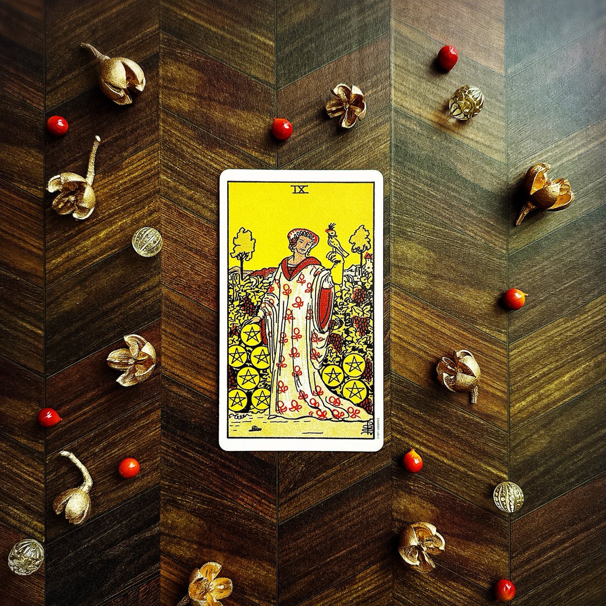 makiakari's tweet photo. 2026/7/9　今日のカードと占い：Nine of pentacles
すでにあるもの、得意なことを活かすことで満足のいく結果につながる日。どんなにありふれたもののようであっても、あなたが培ってきたものは、誰にも真似のできない宝物。よく見て、誇って、大事に大事にしていきたい。今日もよい1日を。 https://t.co/IxqjBOVs1r