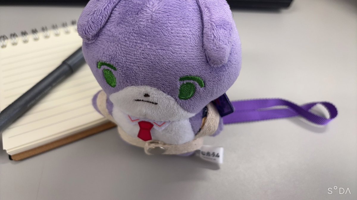 139ryou's tweet photo. これは散歩用のハーネスつけられたからおさんぽかと思ったのに主の大学に連れてこられて不服なもちたうんさん。 https://t.co/ZNoEK1ZHuQ