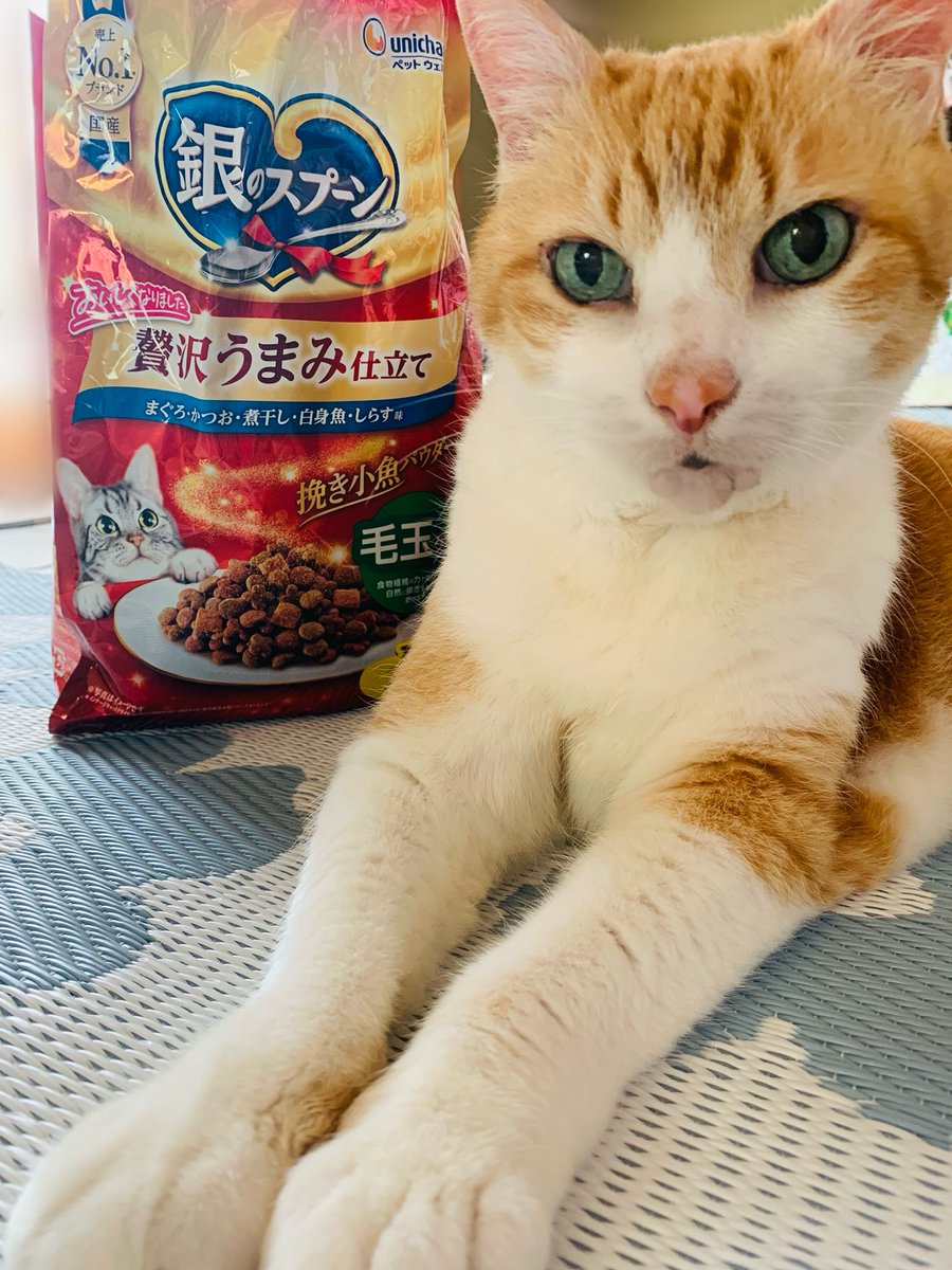 銀のスプーン 🐠大好きな銀のスプーンと🥄📸💕 銀のスプーンのモデルに✨ なれますか