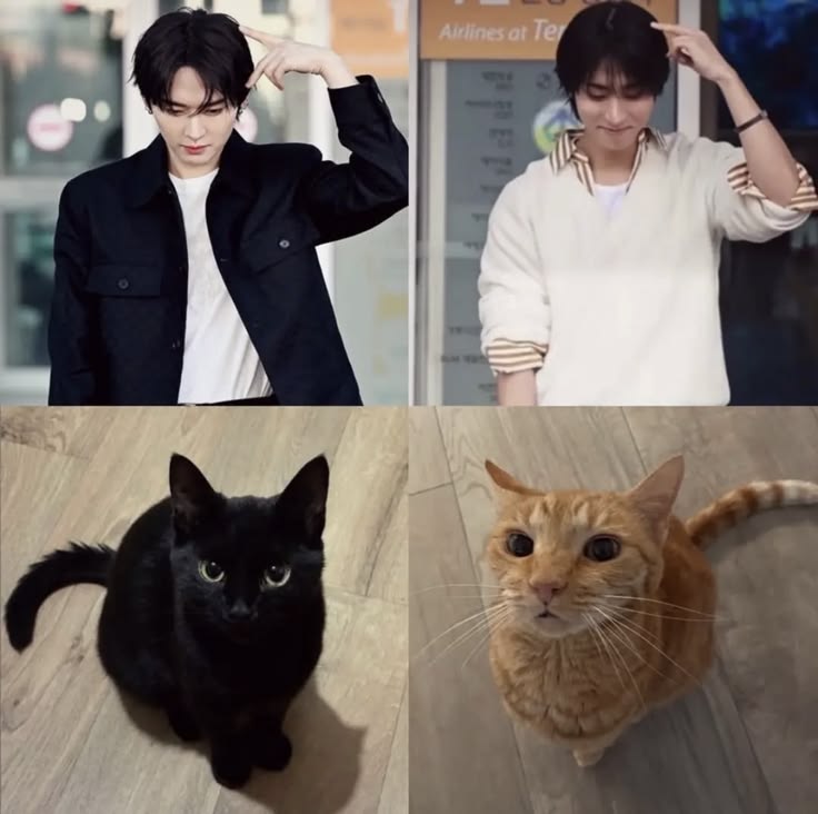 minsungroll's tweet photo. no bcus the fits match the fur ㅜㅜ https://t.co/HGxPWOg2Mb