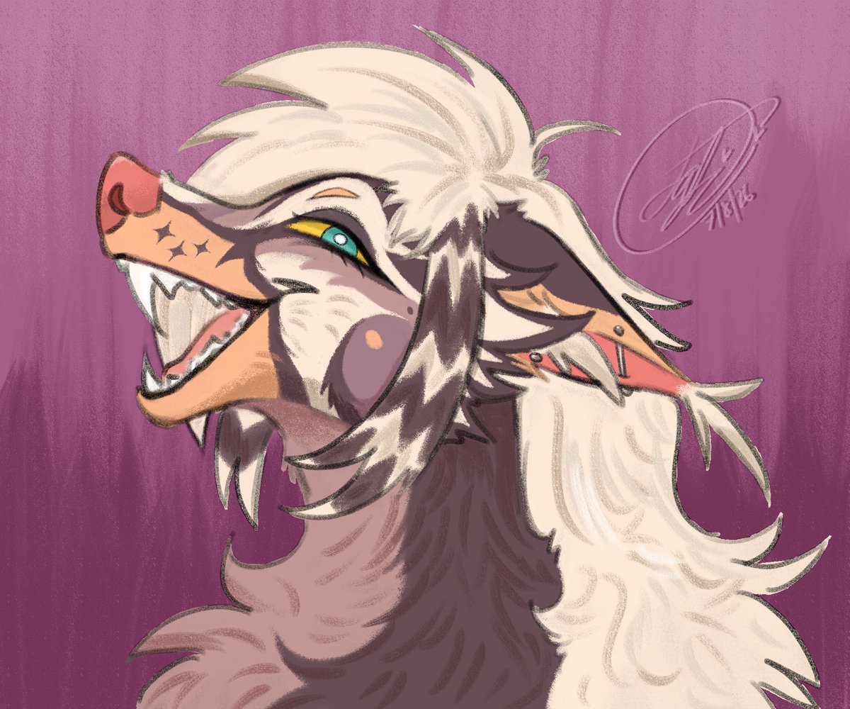 venus ᢉ𐭩 🔜 FURRYDELPHIA tweet media