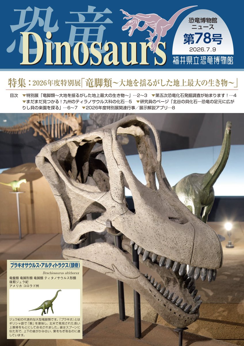 FukuiDinosaurs's tweet photo. 📢博物館ニュースDinosaurs 78号を発行しました。
内容はホームページ( https://t.co/gN7QOEfGih )のPDFで確認できます。

今号の表紙の恐竜はブラキオサウルス頭骨です✨ https://t.co/bXTWlwr2iv