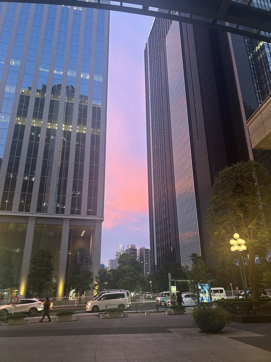 natane1128's tweet photo. 夏前のあれこれ https://t.co/K4vhmG43Rk