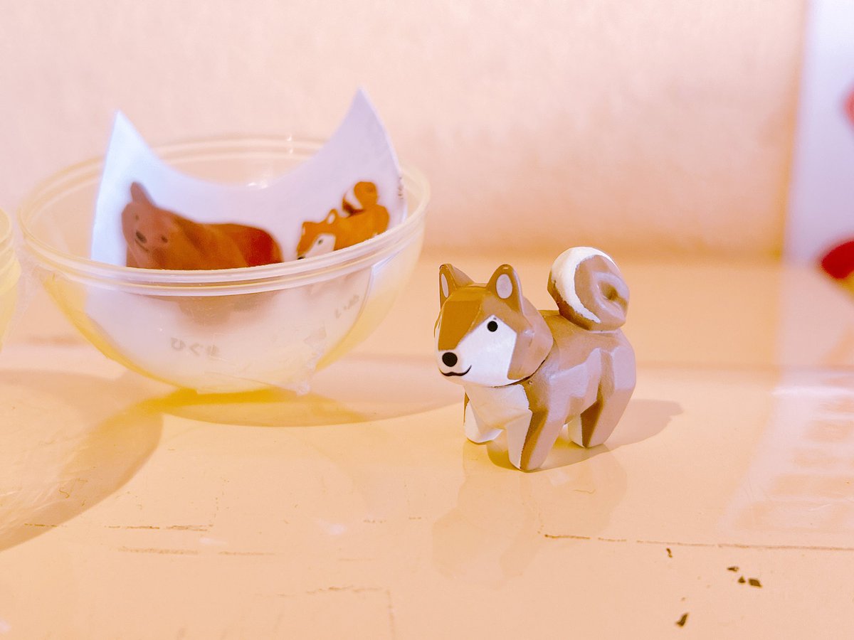 beat1204x's tweet photo. ねぇ〜〜〜〜〜
バイト先に設置されてるガチャガチャやっちゃったじゃん〜〜〜〜
犬出てきた〜〜〜〜〜〜カワイイ〜〜〜〜〜〜〜〜〜〜〜〜〜〜〜〜〜〜〜〜🐕 https://t.co/DRFuCoNm40