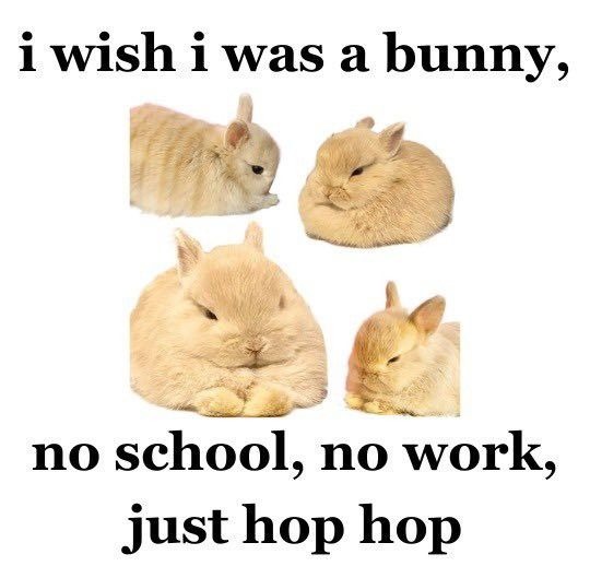 cutedreamvibes's tweet photo. https://t.co/0i8MuxHMrZ