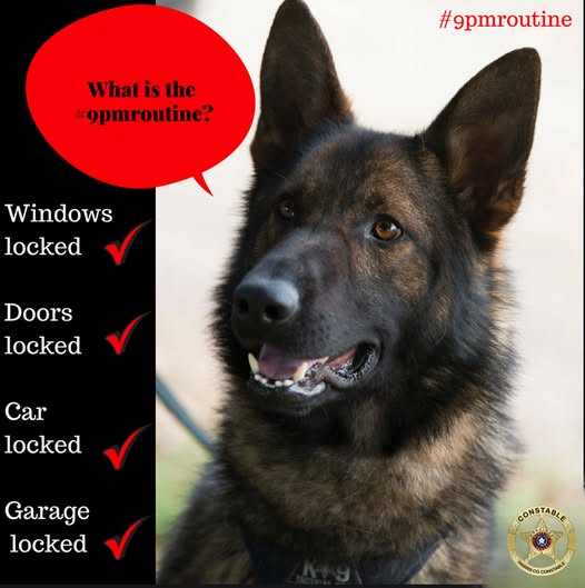 Pct4Constable's tweet photo. ππ 9 PM ROUTINE ππ
Before you call it a night, take a few moments to protect your home and your family by making the #9PMRoutine part of your daily routine.
We have so many routinesβlet's make safety one of them! π https://t.co/8gGwhhmIZB