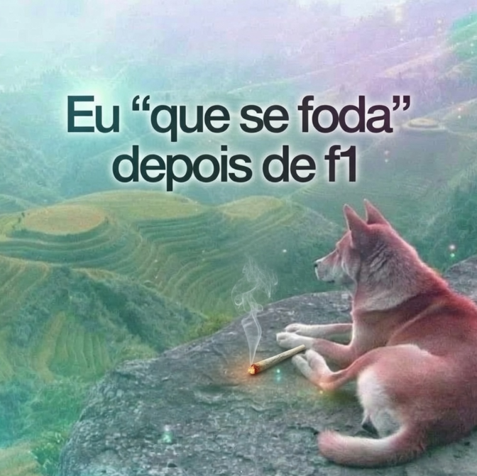 Diario4e20's tweet photo. https://t.co/10r0YfVKFs