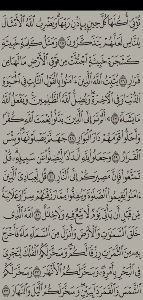 NanaM123577's tweet photo. مهما كثرت أشغالك وأوجاعك، اقرأ القرآن وستجد التيسير، والانشراح، والفرج من حيث لا تحتسب.

@L40ol
#قراءة_القران_مع_ابو_عزام https://t.co/KLXbxkVNiY