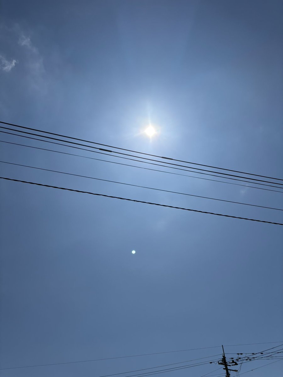 mayu513314's tweet photo. ミルさん皆さん、こんにちは😊
青空🟦そして太陽☀️☀️☀️

今日もよろしくお願いします🙇‍♀️✨✨ https://t.co/I51bqR851y