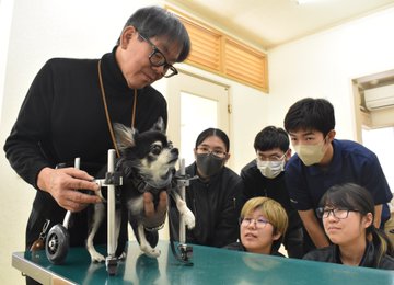 HIU_PR's tweet photo. 〔動物義肢装具研究会〕放送延期となっていました「動物義肢装具研究会の活動」について、本日23時00分~「TBS news23」内で放送予定📺
https://t.co/G7YN4CEzHr
#TBS #news23 #JNN #広島国際大学 #HIU #動物義肢装具研究会 #義肢装具士 #義肢装具士を知ってほしい #リハビリテーション #動物医療 https://t.co/NwAVXrxKRO