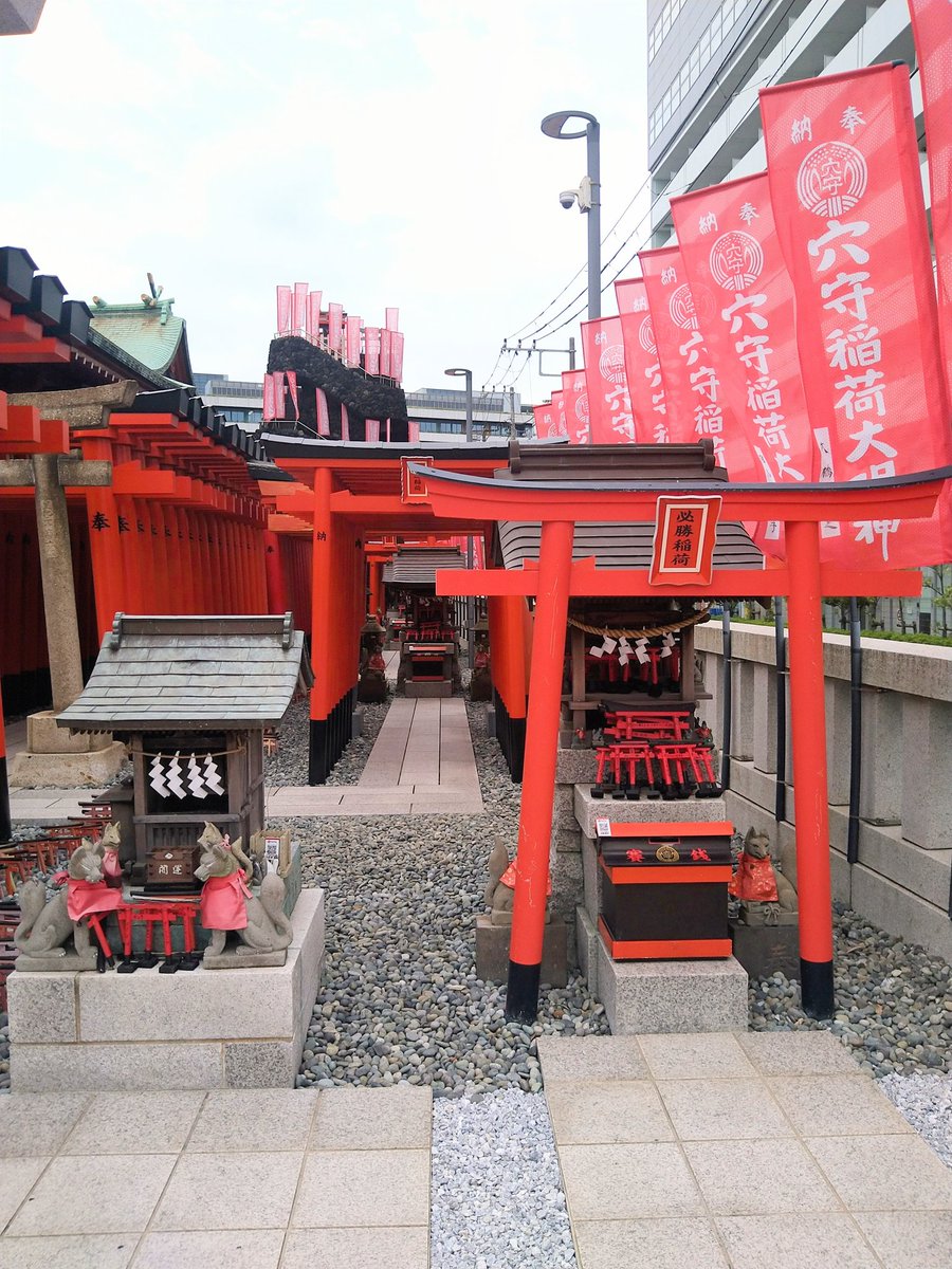 泰子🫶˖꒰ᵕ༚ᵕ⑅꒱*‥🐾 tweet media