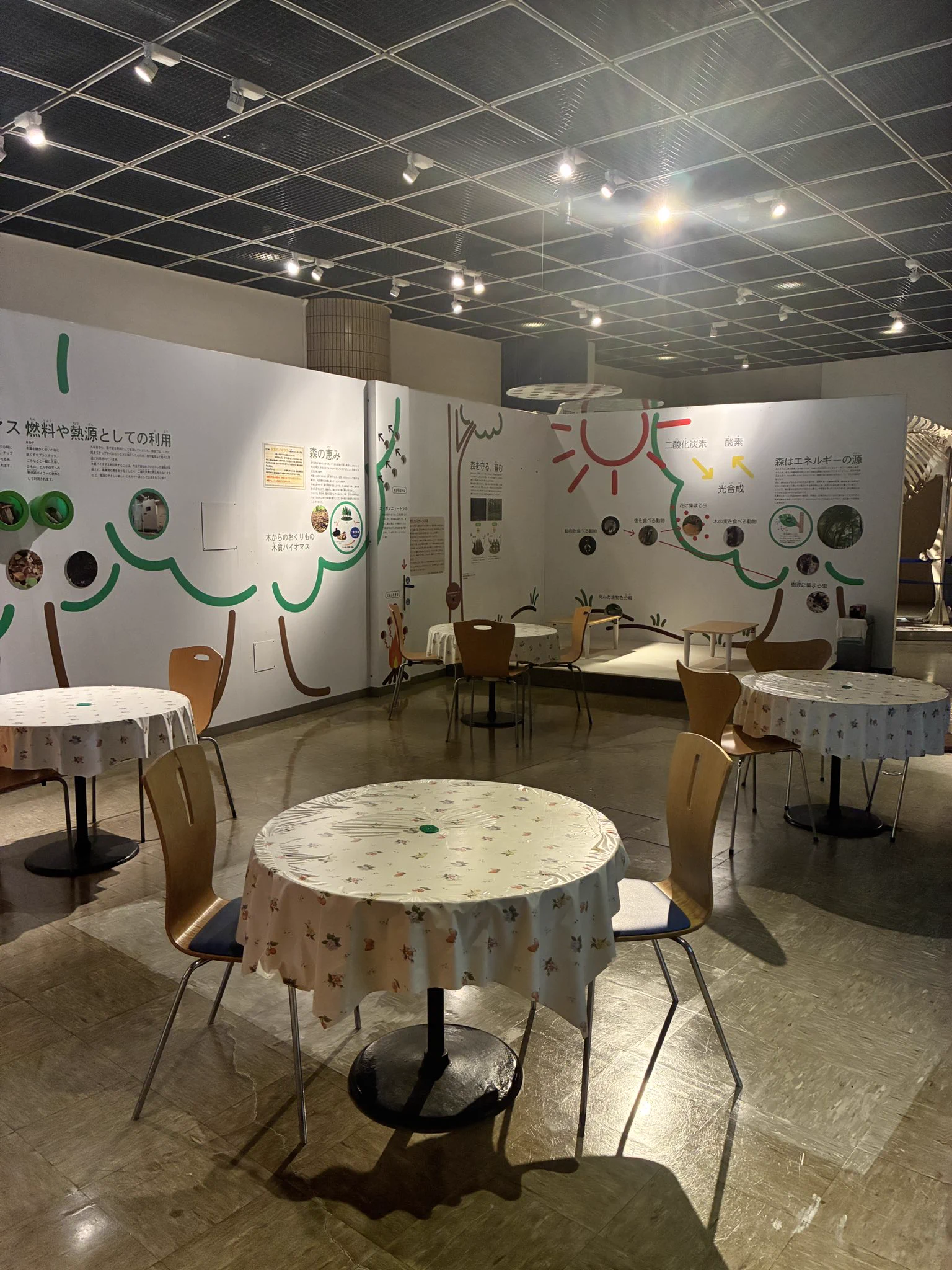 札幌市円山動物園（公式） on X: 