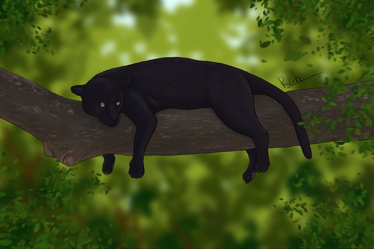 Romashovich's tweet photo. I painted a panther, and while my mom was busy, I AirDropped it to her iPad and set it as the wallpaper on both screens. She said I hacked her tablet (she doesn’t know what AirDrop is)🗿 https://t.co/WOliKF5Exe