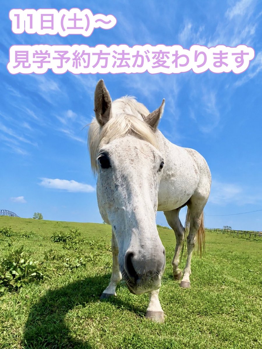 SHV2011218's tweet photo. 今月11日(土)より、見学予約方法がネット予約へと変更となります。
見学を希望される方はプロフィールのリンクよりご予約をお願いいたします。
※11日よりシステムオープンのため、現在はショップ名不明と表示されます。

https://t.co/wZk61Bqrpe https://t.co/wI8JN3KEzC