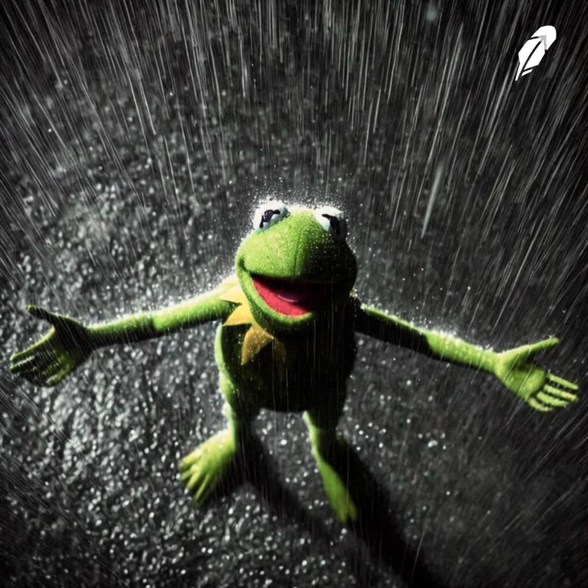 Kermit_RH's tweet photo. MemeGods, give me a sign I’m the chosen one… https://t.co/qnjvynZN4t