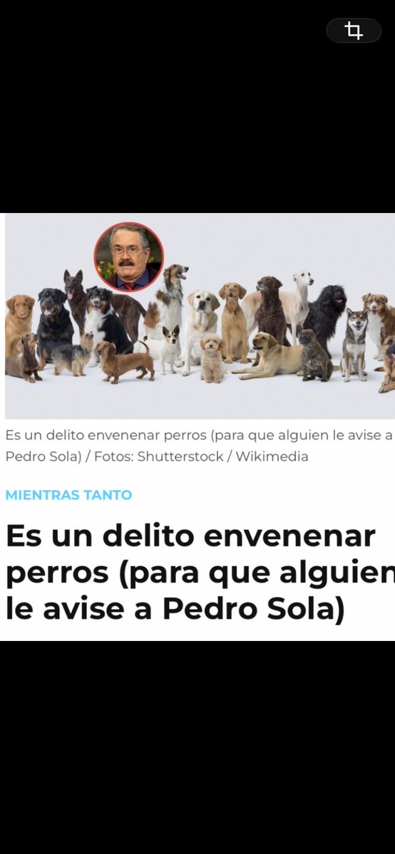 Humanismo4T's tweet photo. Salen a disculparse #LaPerritaDeTrump @RicardoBSalinas el mata perros Pedro Sola @tiopedritosola y la gárgola @ChapoyPati 

Este trío de psicópatas evaden su responsabilidad insultando al gobierno de la 4T y quienes lo apoyamos. 

Deberían salir del aire 🤬 https://t.co/1xSdHze0e5