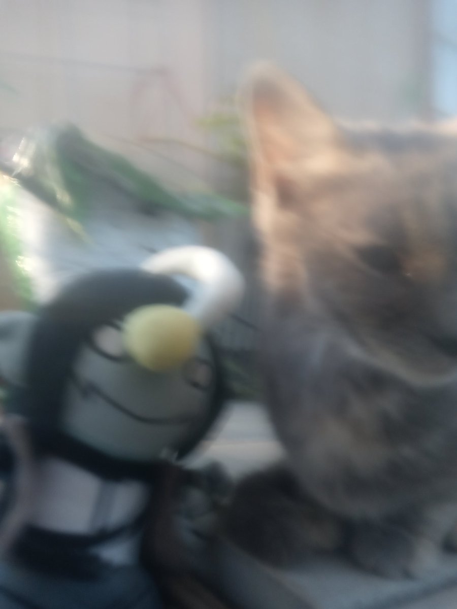 Judgment_Crow's tweet photo. @WhalesStuff I have a bootleg

I still love him deeply, I take a lot of comfort from him.
Been working on a story rewrite and design adjustments for him (and Pressure in general) so I can keep loving him without being reminded of the devs.

Turning him into my own loving work :3 https://t.co/vqvOjlorx4