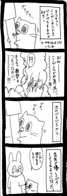 優しいねこ 