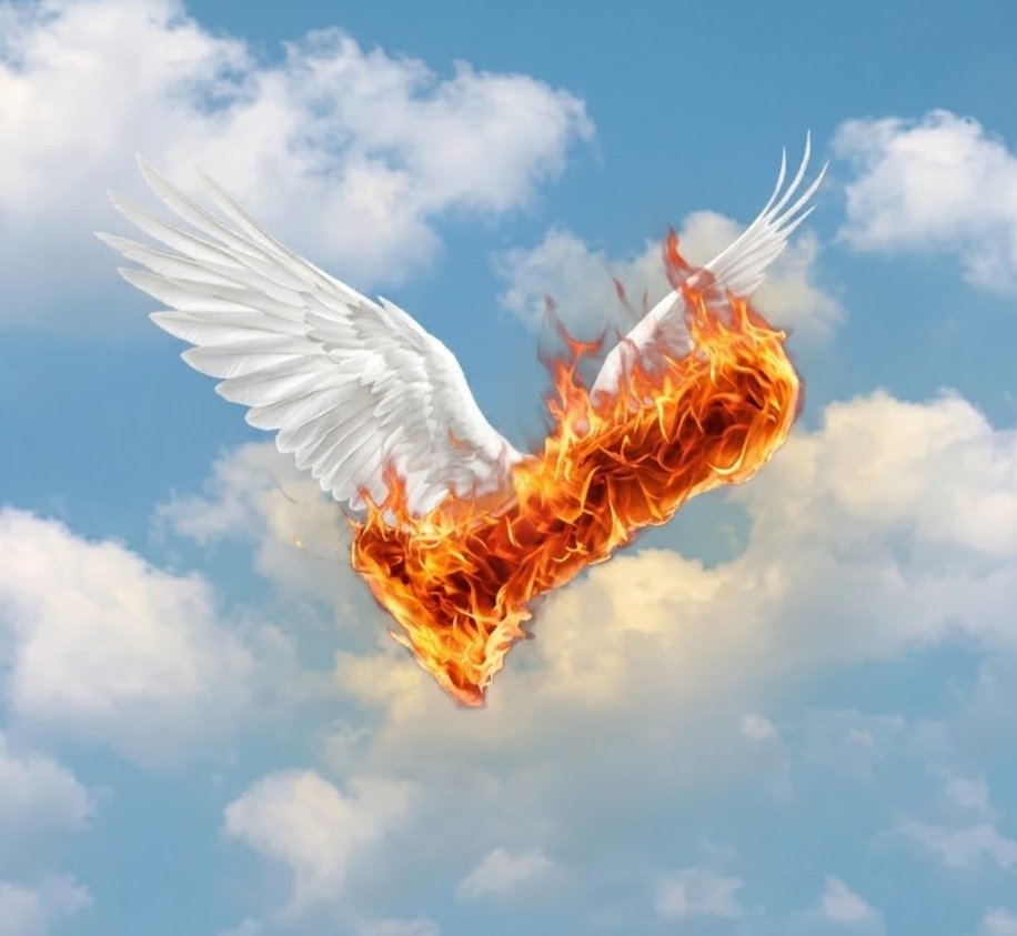 Be_A_Goldfish1's tweet photo. This is pretty good but nobody has done it right yet.

This guy legit took off his penis, lit it on fire and threw it into his mom's garage set it on fire.

$FFP - FLYING FLAMING PENIS

Millions.

https://t.co/vEK9w6Vlka
https://t.co/WRIeff0AFm https://t.co/wvrT6Uc8OS