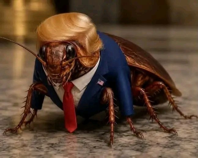 RoqueMachin's tweet photo. #MuerteAlImperialismoYAlSionismo, detener, procesar, juzgar y sancionar a los genocidas y criminales más alevosos del siglo XXI, el presidente pedófilo Donald Trump y Benjamín Netanyahu, asesinos confesos e impunes.
#MuerteAlImperialismo.
#MuerteAlSionismo.
#MuerteAAmbos. https://t.co/N4yHqNC5rE