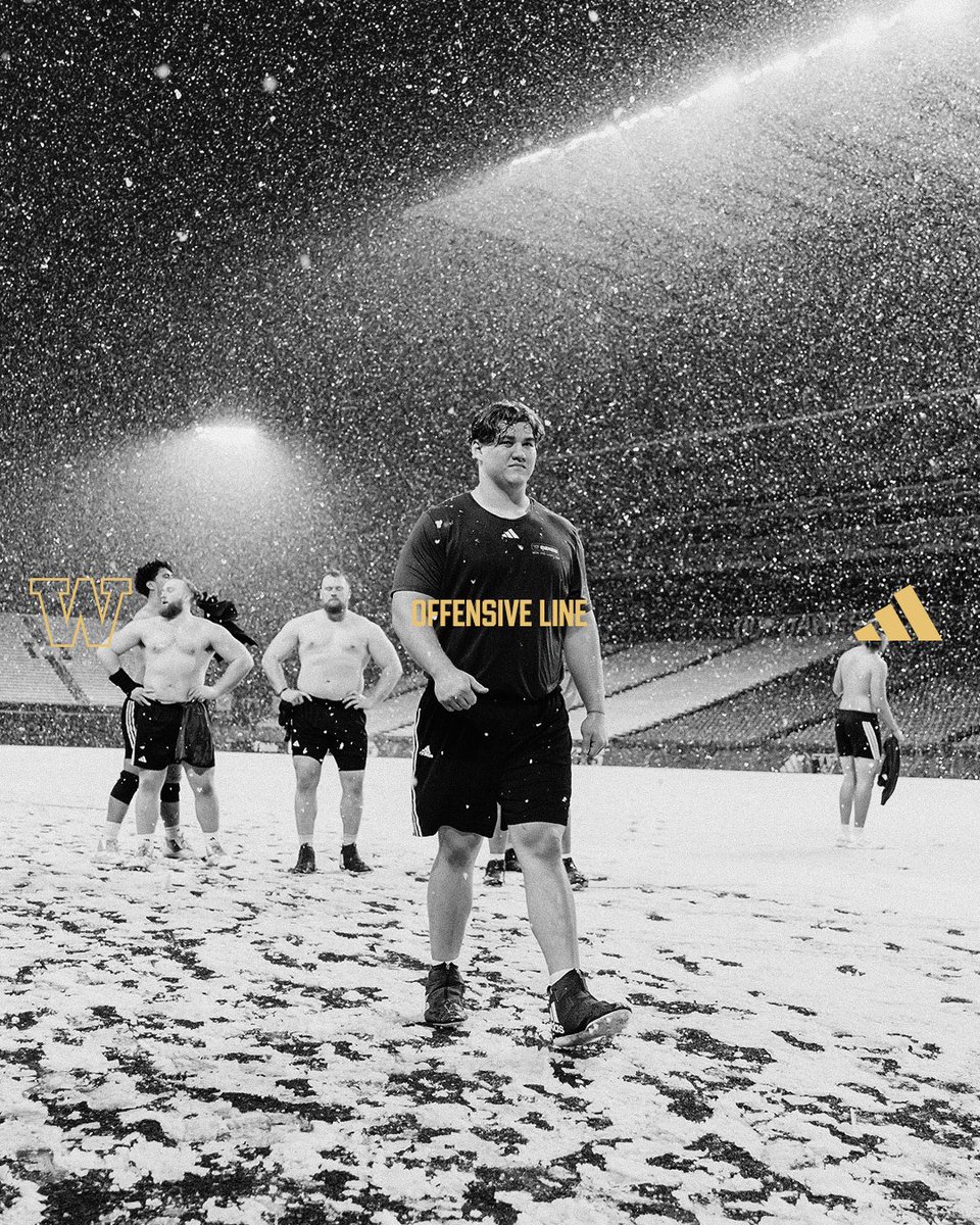 UW_Football's tweet photo. 🐺 Meet the Pack: Homegrown Aidan Anderson @its_spelt_Aidan from Olympia, WA heads into his junior season. Earned Big Ten All-Academic team in 2025. Studying Real Estate. ☔️ https://t.co/Y4wBRan5Xh