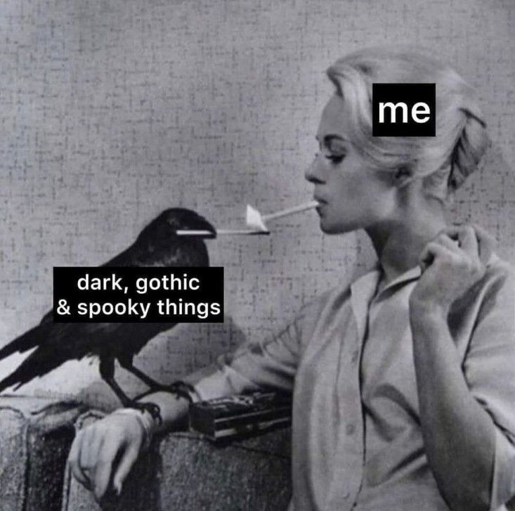 deepdarkvibe tweet picture