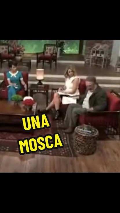 Gabo__1008's tweet photo. @tiopedritosola EXACTO, EREZ INCAPAZ DE MATAR UNA MOSCA, POR QUE TU TE LAS COMES https://t.co/sPBmDHMJJs