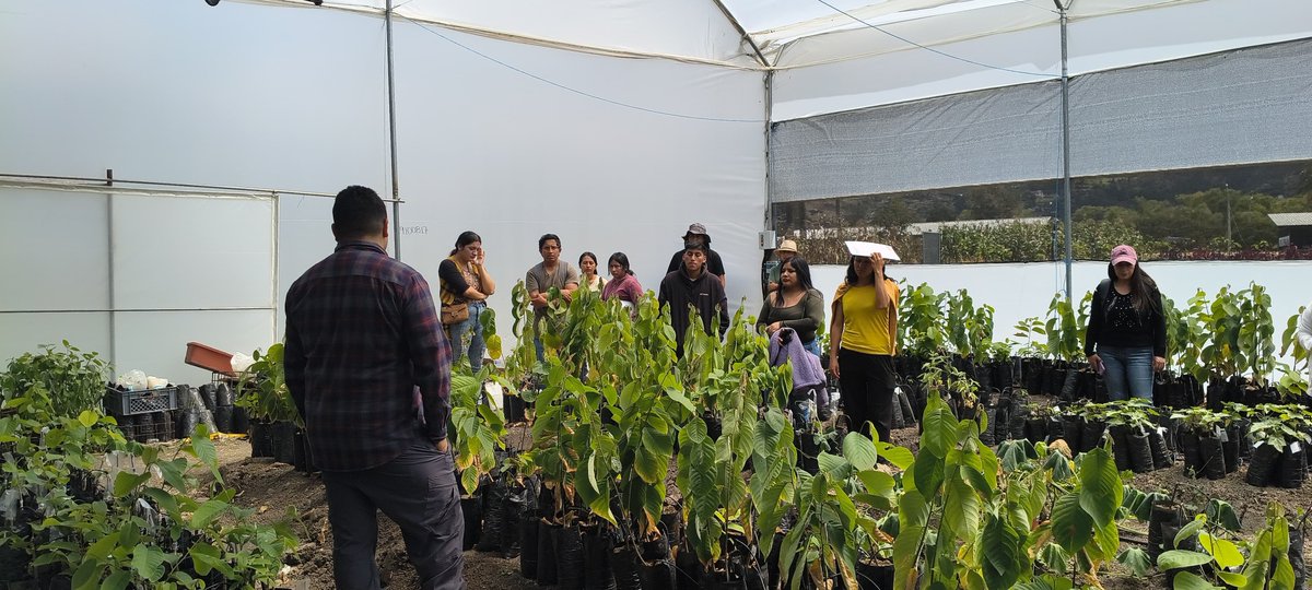 Agricultura_CZ6's tweet photo. Además conocieron sobre el uso de implementos y maquinaria especializada para riego, fortaleciendo sus capacidades técnicas para optimizar el uso del recurso hídrico para la producción. https://t.co/a2QbtD4jae
