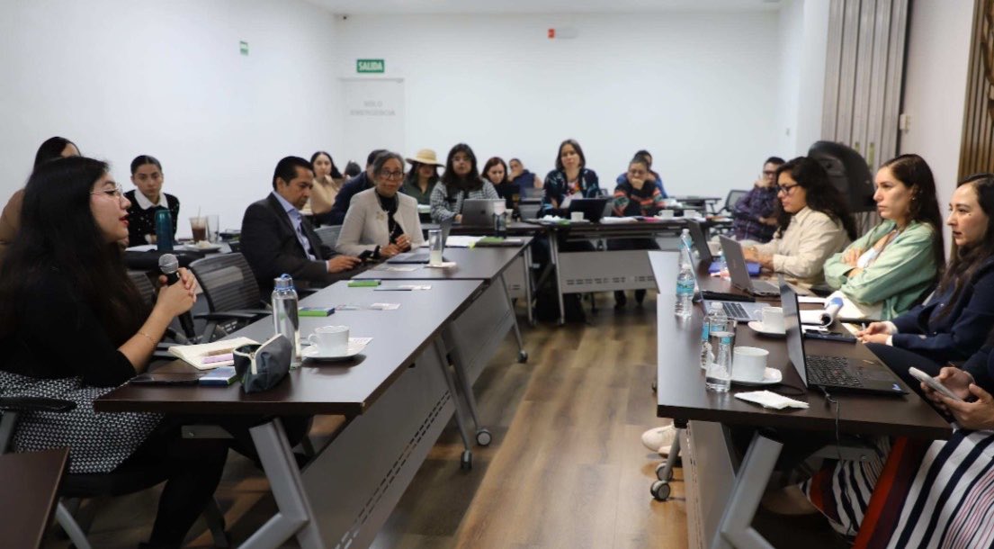 ONUDHmexico's tweet photo. Hoy, en conjunto con @SE_mx y @OITMexico, llevamos a cabo la segunda sesión de la consulta pública sobre la Política Nacional de Derechos Humanos y Empresas, dedicada a la obligación de garantizar los #DDHH.

👉🏽La consulta pública continúa abierta: https://t.co/7kWRBN7XHz https://t.co/kEhdMrmvXE