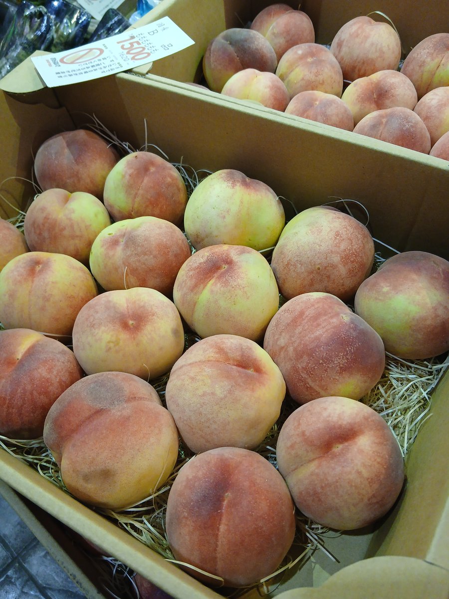 vege_fru's tweet photo. 8時開店 #金沢市民の台所 #近江町市場 #八百屋 #北形青果 してます
一日中外にいるので、少し暑さに慣れてきましたが、やっぱり暑いね。商品と冷蔵庫の管理が主な仕事になってきました。
とりあえず今日は長野の桃がお買い得だったので積みあがっておる。炭酸ジュースよりもフレッシュフルーツをどうぞ https://t.co/uhDuSVIHSp