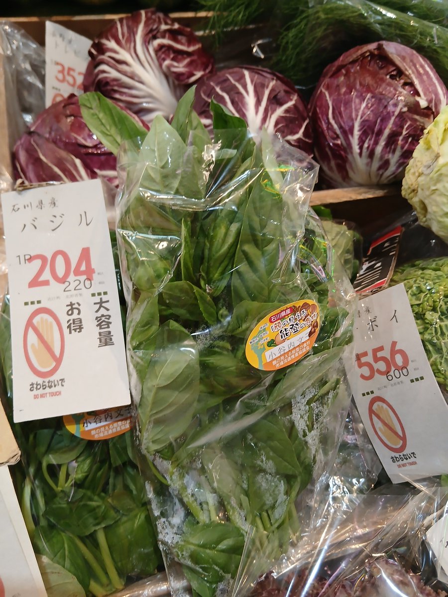 vege_fru's tweet photo. 8時開店 #金沢市民の台所 #近江町市場 #八百屋 #北形青果 してます
一日中外にいるので、少し暑さに慣れてきましたが、やっぱり暑いね。商品と冷蔵庫の管理が主な仕事になってきました。
とりあえず今日は長野の桃がお買い得だったので積みあがっておる。炭酸ジュースよりもフレッシュフルーツをどうぞ https://t.co/uhDuSVIHSp