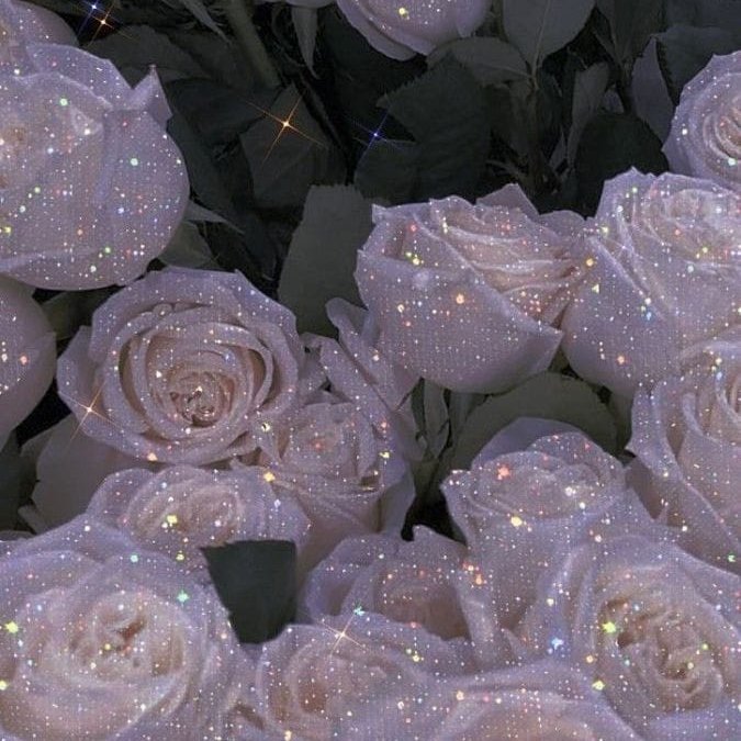 aestheticspost_'s tweet photo. https://t.co/3ypds0XQyf