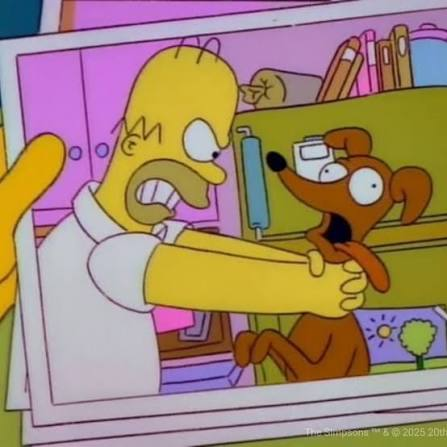oso_tramposo's tweet photo. Pedro Sola cuando ve a un perro: https://t.co/01sWnRwiBA