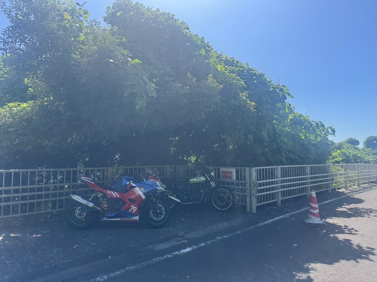 kihotara's tweet photo. 朝ラン🏍☀️

モーニング食べて帰りまーす🙏 https://t.co/gmUVEVIlUG