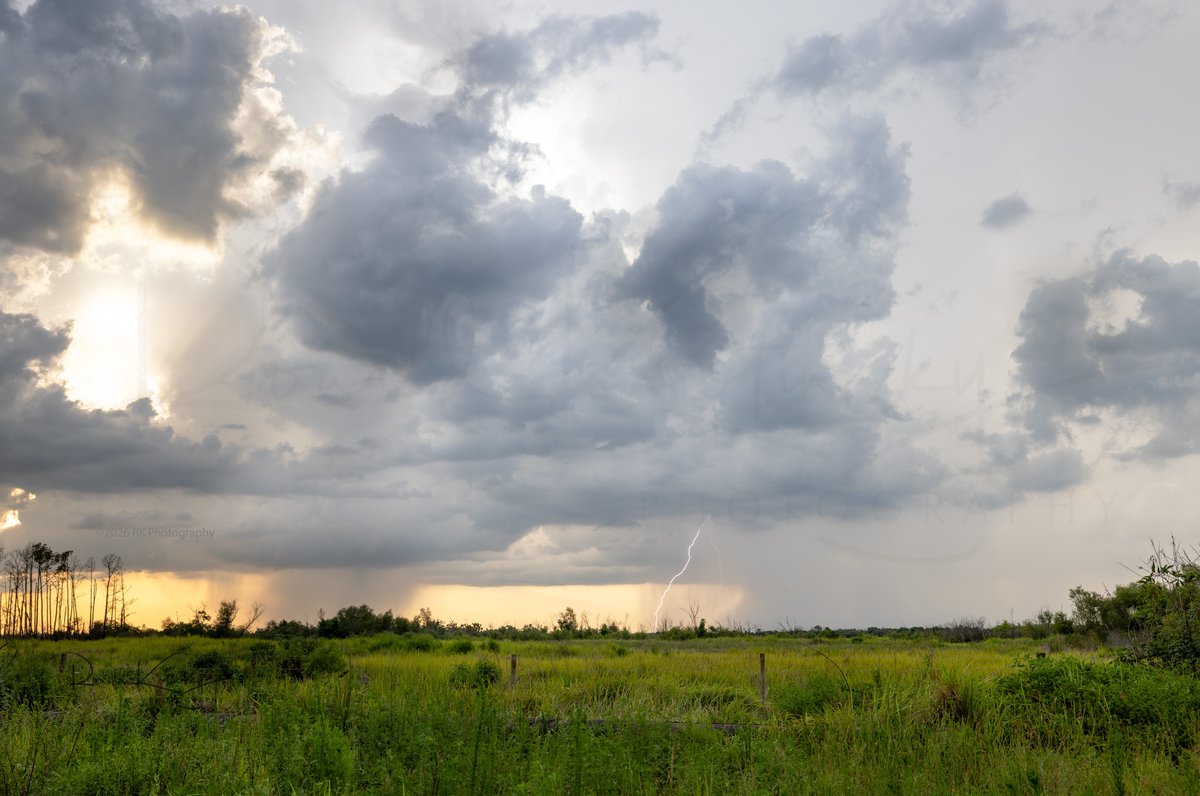 Ronald Kotinsky Photography tweet media