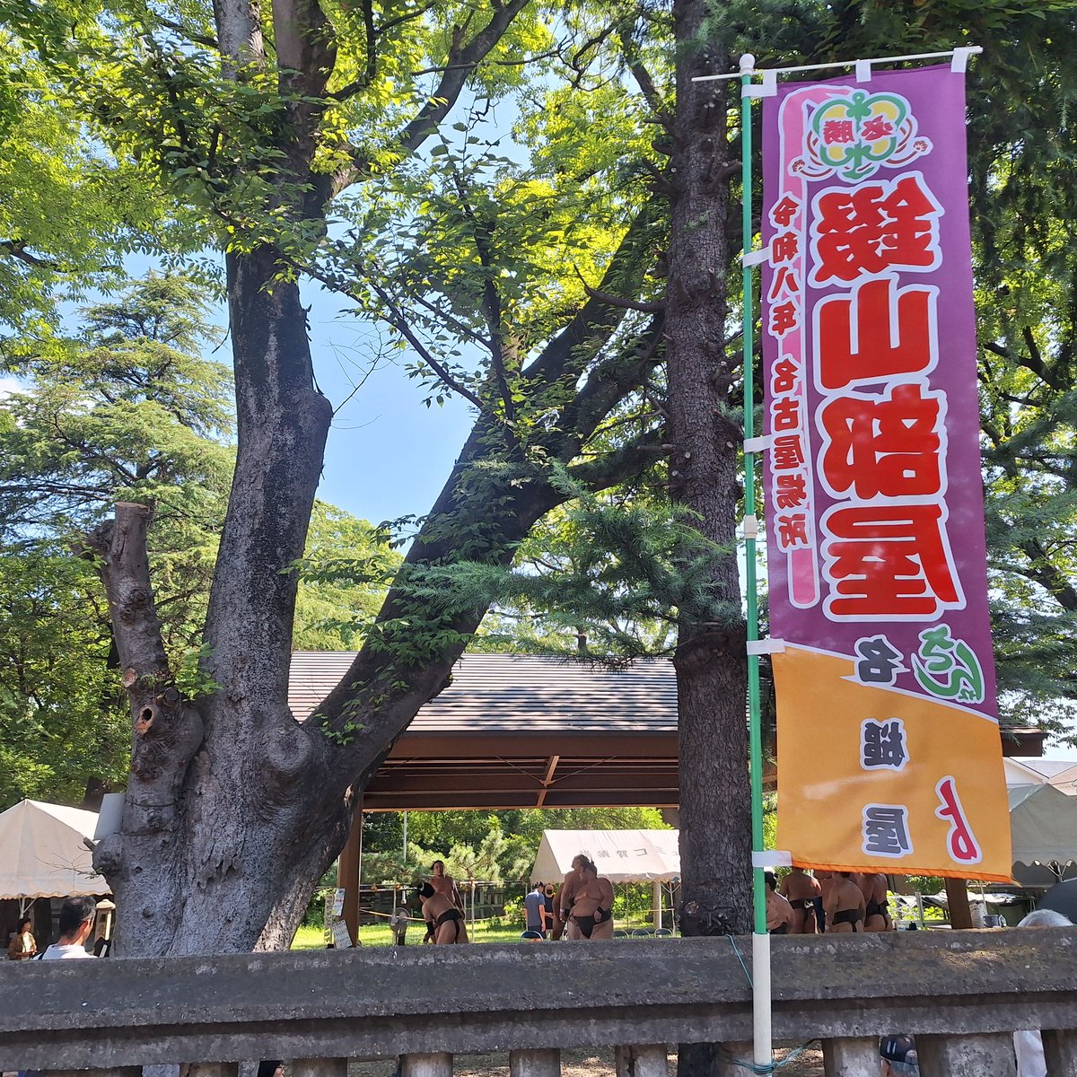 makaroni0515's tweet photo. 錣山部屋の朝稽古を見学に行ってきた
ぶつかる音すごかった
#大相撲
#錣山部屋 https://t.co/X4TEUK9Uhg