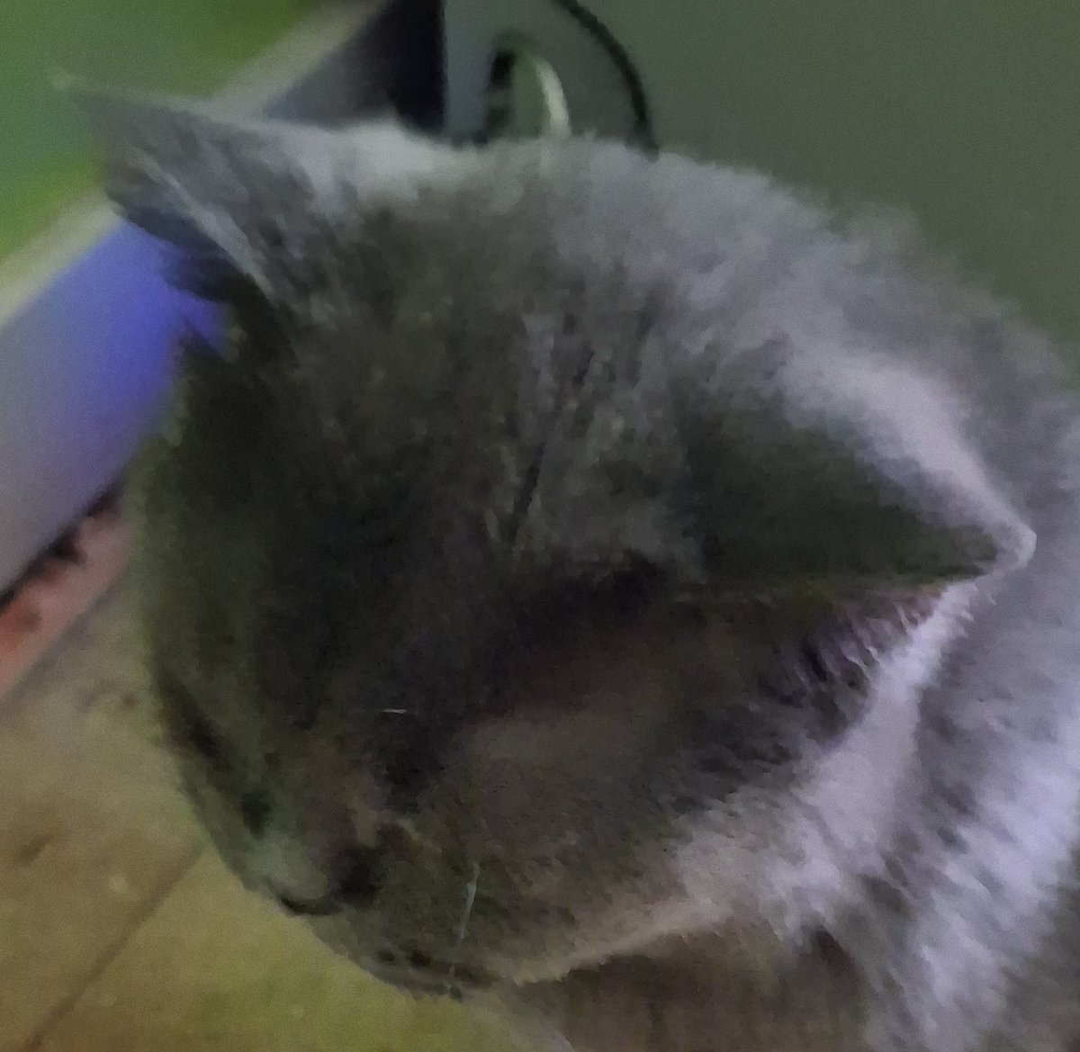 kot_malinek's tweet photo. Staram się jak najrzadziej prosić Was o pomoc ale czasem nie mam wyboru

Obecnie w Malinkowej Kociarni przebywa 15 kotków (Whiskey🐈, Coco🐈, Batman🐈‍⬛, Prawdziwy Kot Malinek🐈‍⬛, Kiler🐈, Czarek🐈‍⬛, Kwiatuszek🐈, Harry🐈‍⬛, Hermiona🐈‍⬛, Mitchy🐈, Wędzonka🐈 , Węgielek🐈‍⬛, Kiki🐈, Miko🐈, Puchatek🐈) + piątka kociąt. Taka liczba podopiecznych to olbrzymie ilości zjadanej karmy, używanego piasku, leków, środków na pchły/,robaki, suplementów, etc 

Zwykle zbiera się tego około 500 złotych tygodniowo (można sprawdzić rachunki) czasem więcej 

I właśnie nadszedł ten moment gdy dosłownie wszystkiego zaczyna brakować. Więc jeśli ktoś chciał by wspomóc Malinkowe Kotki można to zrobić poniżej. Mogę też podać BLIK na DM

Z góry serdecznie dziękuję 

https://t.co/gAUJCABmX5