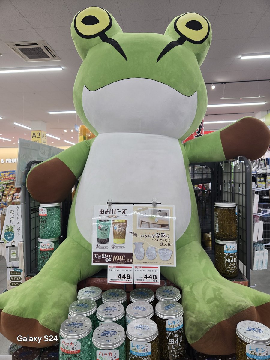 神宇心生 tweet media