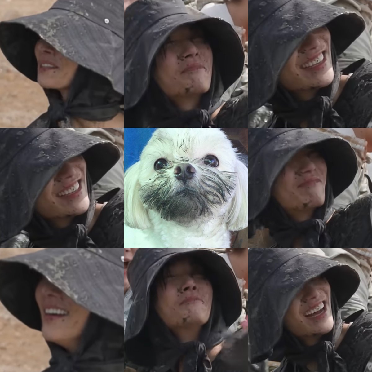 s0o0on9's tweet photo. 꼬질슈 .. https://t.co/nVfiERrigR