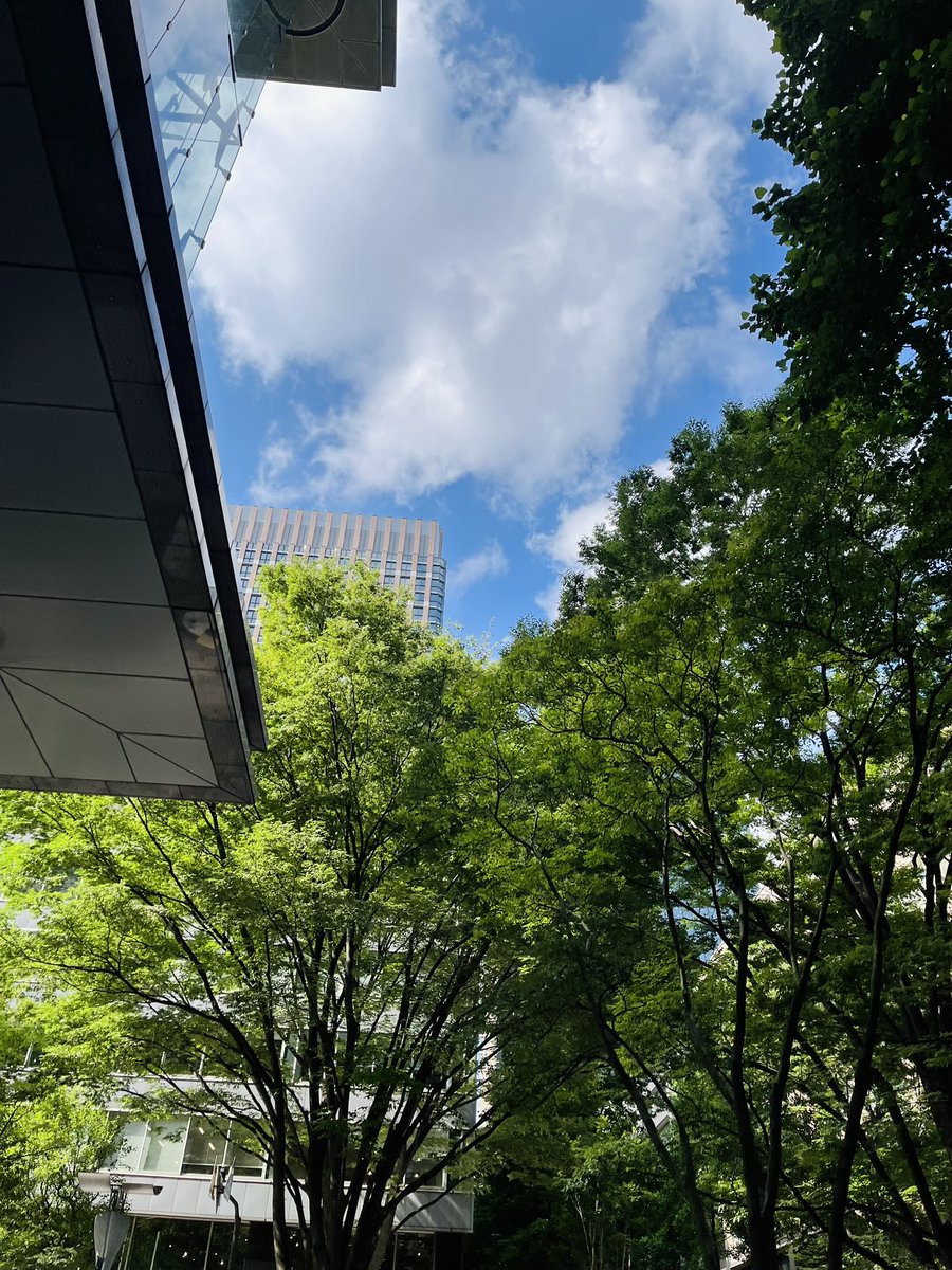 aoisora1173's tweet photo. まだ朝晩は涼しい。
空も爽やかなブルー。 https://t.co/EEW2F8uPCQ