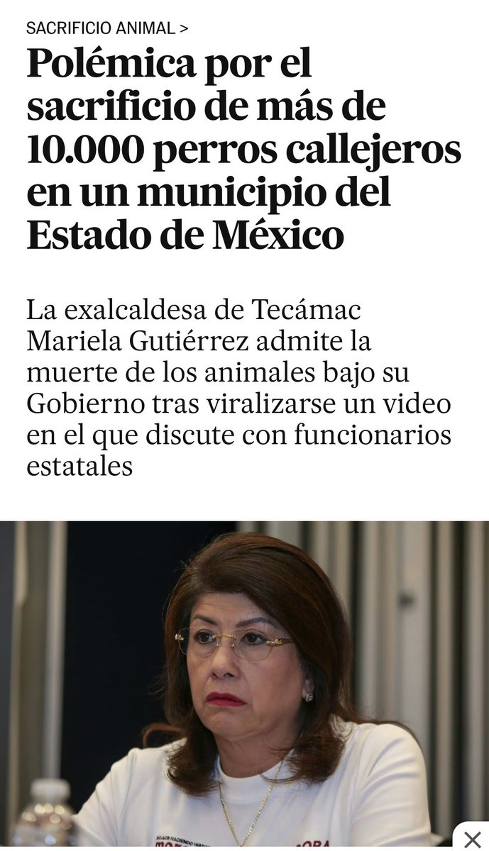 Hector_Ortiz_R's tweet photo. @Chescan4 @tiopedritosola A Morena pareció no importarles los perros. 

Miserables. https://t.co/po2c5z1SDH