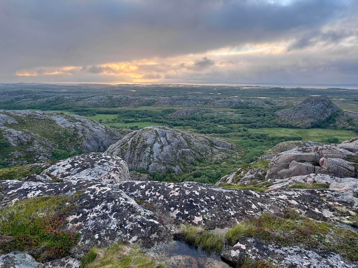 JohnnyBorgan's tweet photo. https://t.co/u8ysxvqtGu