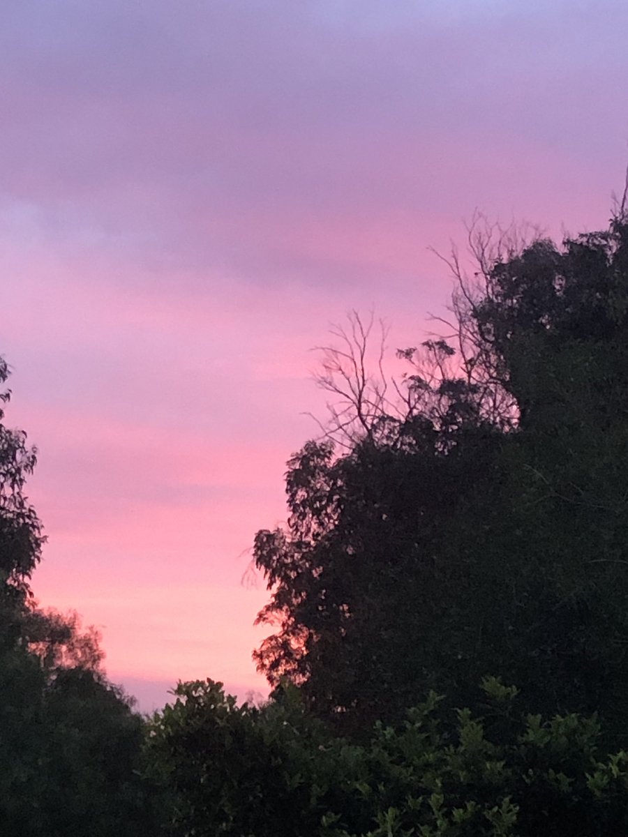 aspid11's tweet photo. Atardecer de Julio. https://t.co/Sxo6E7d610