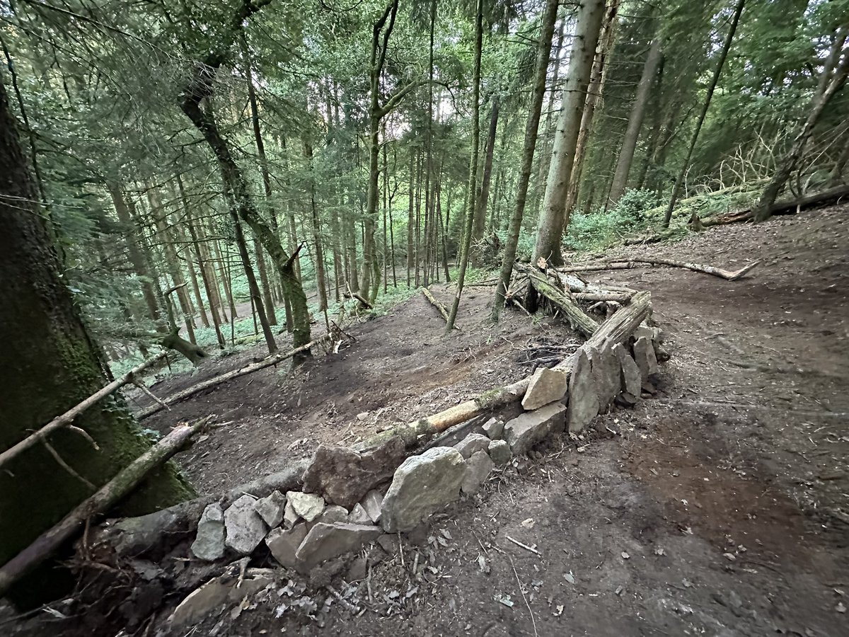 grayomtb's tweet photo. More #trailfairies with @Jon2wheelz at the mighty CYA. Crosser deletions, corner reinforcements, and trail way marking https://t.co/wobvua16zx