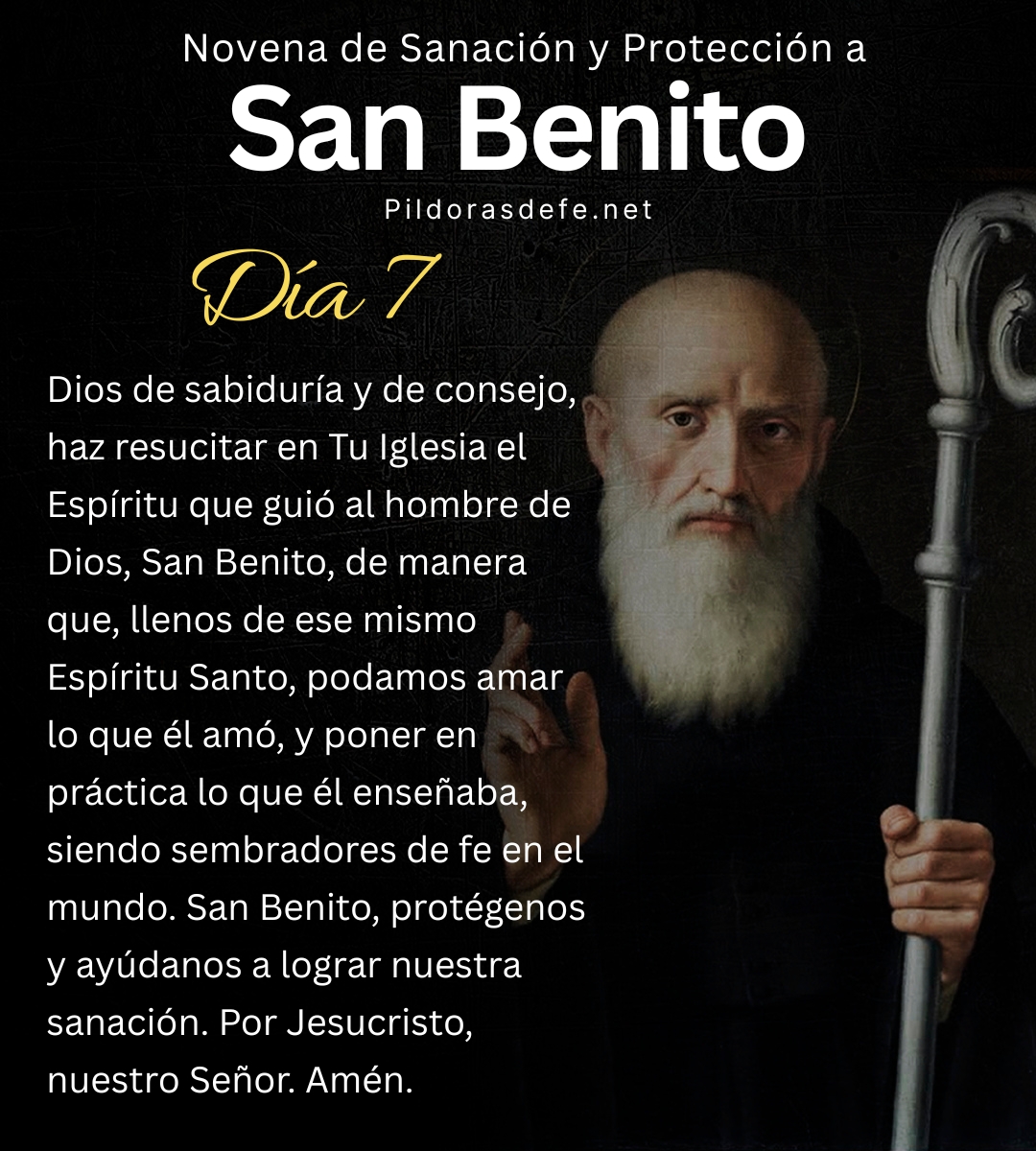 Pildorasdefe's tweet photo. Reza con el Día 7 de la Novena a San Benito
🙌 https://t.co/rNtD6ufN4d
