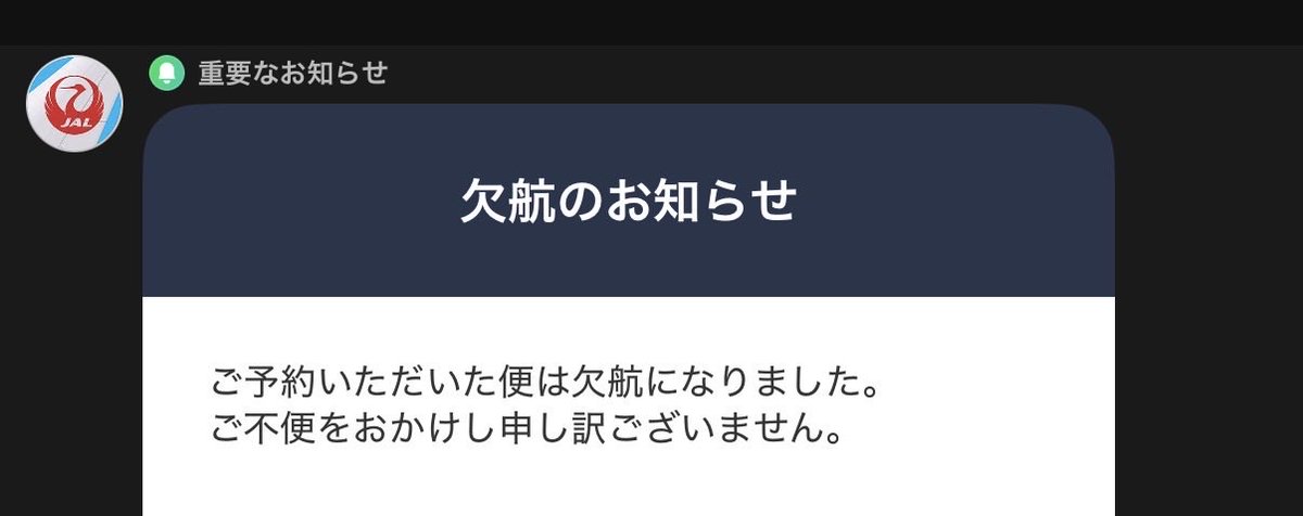 ✱オーダー休止中<(*_ _)>✱ JALがかなり早めに通知してくれたおかげで変更できました。明日からの