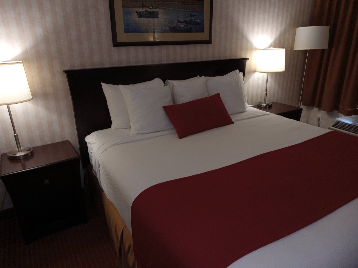 JOHNBROUMAS's tweet photo. Richmond BC Wednesday July 8 2026 my Hotel room today. Breakfast at the Hotel. Richmond Centre shopping today. Richmond Centre Food Court OPA Souvlaki of Greece Chicken Platter with Coke for dinner. Coke Cookies for Toronto Blue Jays baseball. F🙂🥚🥐🧁🧃🥗🥤🍪🥤⚾🏨 https://t.co/OkF6E6wncM