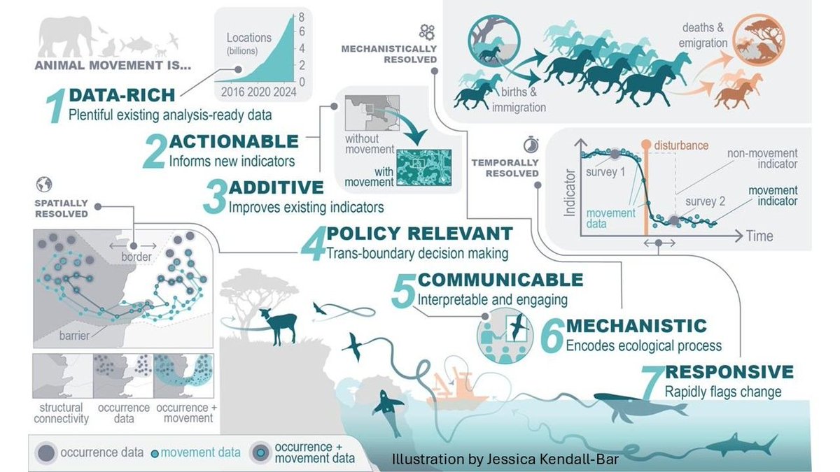 WILDLABSNET's tweet photo. Major milestone for Move BON! 🌍  

The network's first paper is out, making the case for animal movement data to play a bigger role in biodiversity indicators and policy. A huge step for the network on what #MoveBON is all about!  

Check it out: https://t.co/vcmE3GPKlC https://t.co/MRj5oW2k6J